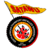 SATAWU logo